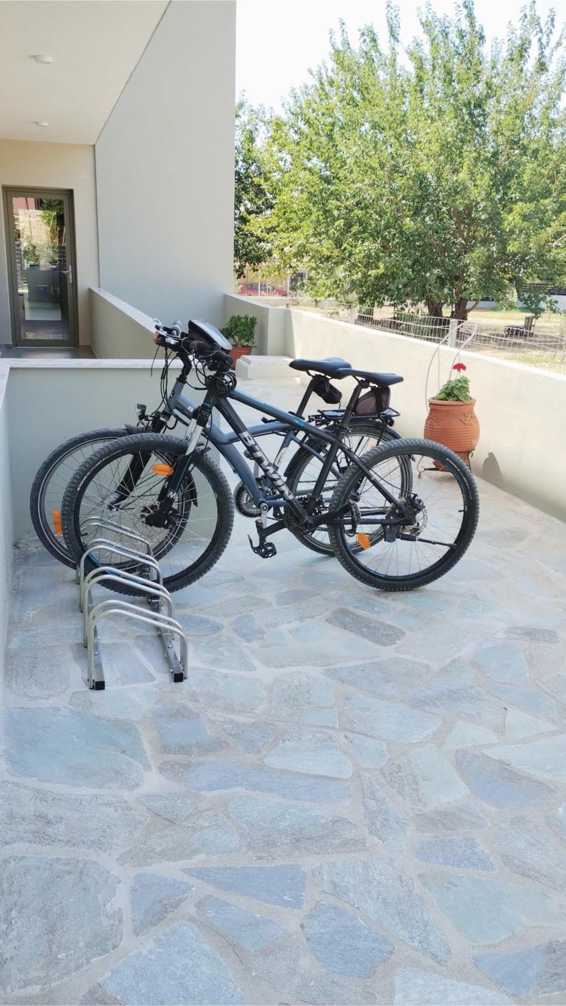 Oliva Suites Νικήτη Εξωτερικό φωτογραφία