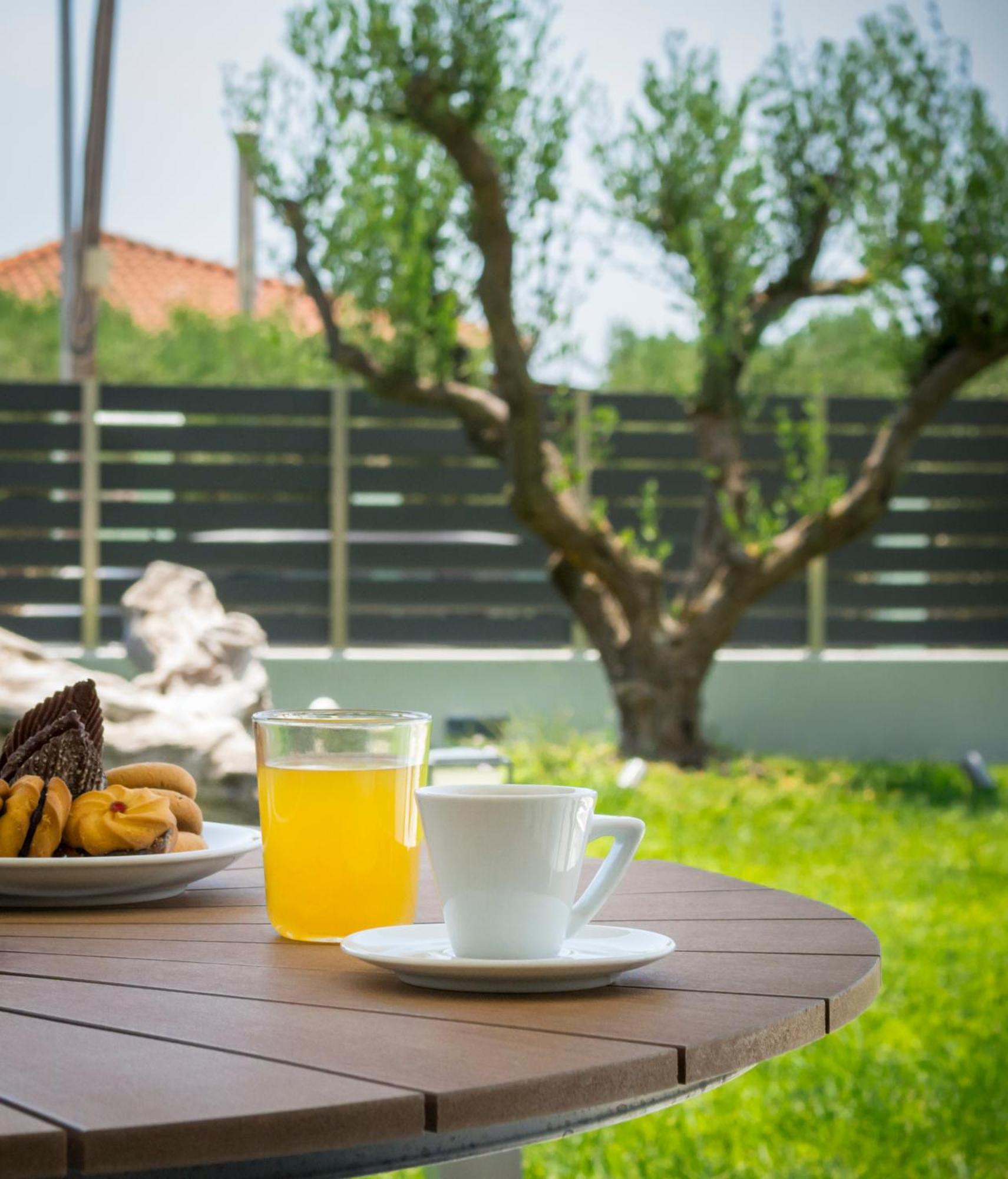 Oliva Suites Νικήτη Εξωτερικό φωτογραφία